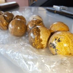 Vendora ΝΕΑ ΠΑΡΑΛΑΒΉ. WETRIFIED WOOD, 112 ΓΡΑΜΜΑΡΊΩΝ, 10 ΤΕΜΆΧΙΑ, ΔΙΑΜΈΤΡΟΥ 20 ΧΙΛ. -vendora shop 427439836bfa41a88e2ecc9d8368263370099fa2 xl