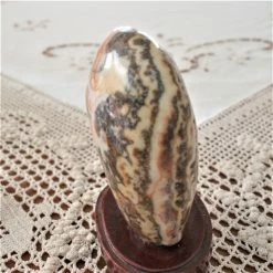 Vendora ΑΠΟΛΙΘΩΜΕΝΟ Μπονσάι (Bonsai) ΣΠΑΝΙΟ ΔΙΑΚΟΣΜΗΤΙΚΟ . -vendora shop 42a448ddede4a08496209123e8951aab7aa65c6a xl