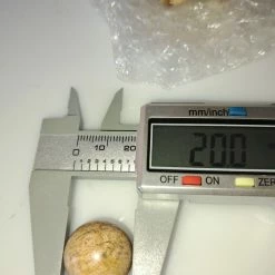 Vendora ΝΕΑ ΠΑΡΑΛΑΒΉ. WETRIFIED WOOD, 112 ΓΡΑΜΜΑΡΊΩΝ, 10 ΤΕΜΆΧΙΑ, ΔΙΑΜΈΤΡΟΥ 20 ΧΙΛ. -vendora shop 437604554f8daa0aaca5592d2ae51ee7f828a99d xl