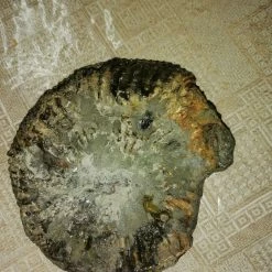 Vendora ΠΕΤΡΩΜΑ