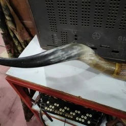 Vendora Κρεμάστρα από κέρατα 11 Vendora Κρεμάστρα από κέρατα -vendora shop 45d0198b9c5dcf3ec63777af3ad91ab0d69cf181 xl