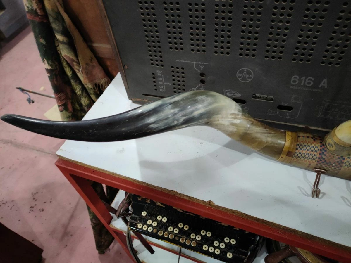 Vendora Κρεμάστρα από κέρατα 7 Vendora Κρεμάστρα από κέρατα - Image 5