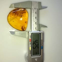 Vendora ΝΈΑ ΠΑΡΑΛΑΒΉ. ΛΙΘΟΣ ΑΠΟ ΚΕΧΡΙΜΠΆΡΙ ΒΑΛΤΙΚΗΣ, WITH INSECTS, ΚΑΤΑΛΛΗΛΟ ΓΙΑ ΜΕΝΤΑΓΙΌΝ. 10, 72 ΓΡΑΜΜΑΡΊΩΝ. -vendora shop 47d4b056024580b447275affc81b00ffc93aeb2f xl