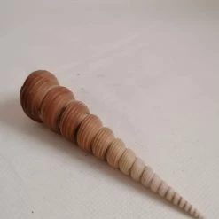 Vendora ΚΟΧΥΛΙΑ Natural Conch Shell Cony 13,5cm 9 Vendora ΚΟΧΥΛΙΑ Natural Conch Shell Cony 13,5cm -vendora shop 488469462d7f48c052a0f71807200d3642947539 xl