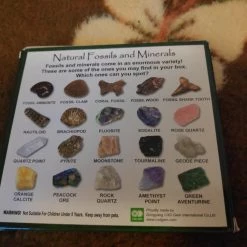 Vendora Συλλογη Γεωλογικων Πετρωματων και Απολιθωματων -vendora shop 4ad2235ff7b605987716429645bc3aad7662c62e xl