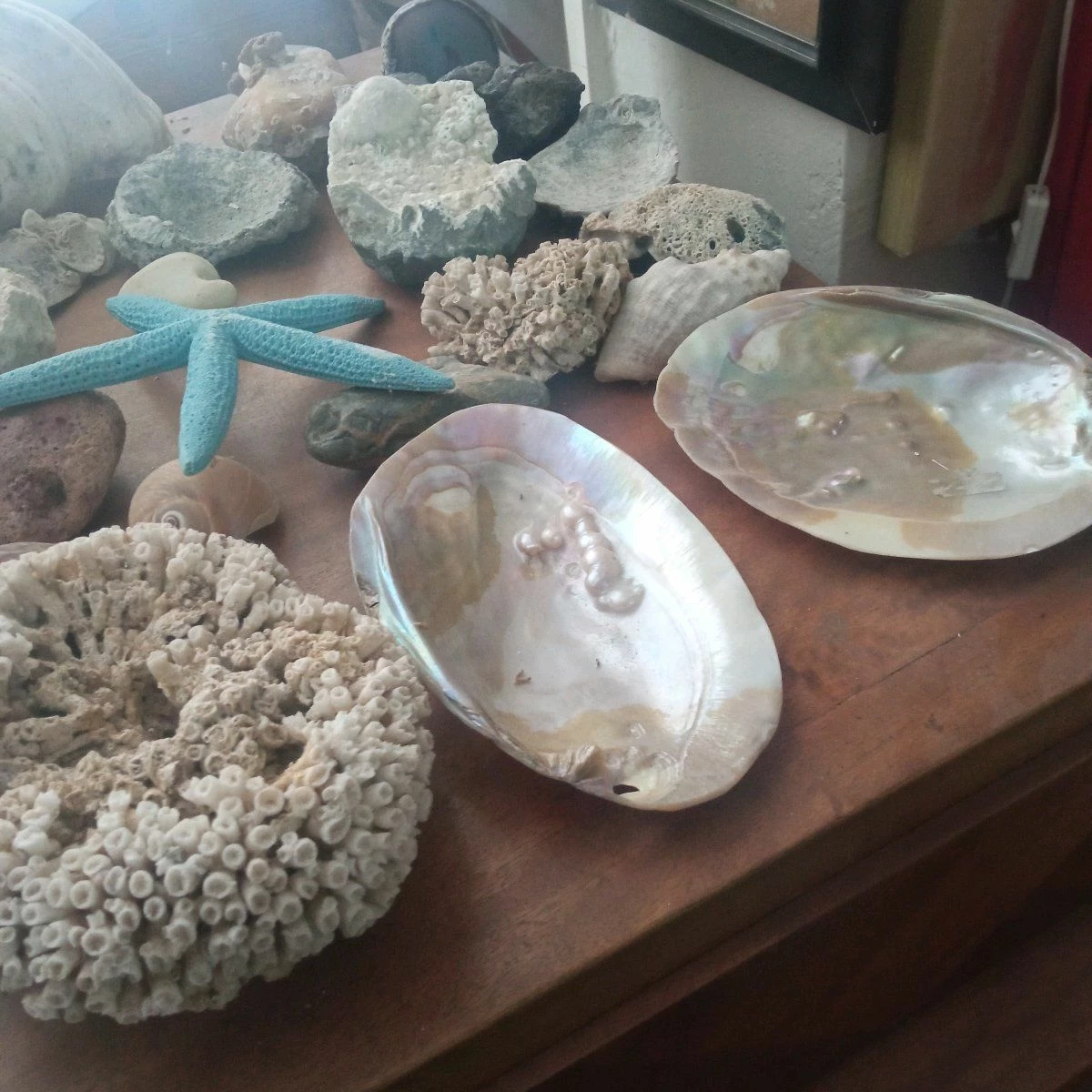 Vendora ΚΟΧΥΛΙΑ ΟΣΤΡΑΚΑ. ΠΕΤΡΩΜΑΤΑ η τιμή είναι για ολα 3 Vendora ΚΟΧΥΛΙΑ ΟΣΤΡΑΚΑ. ΠΕΤΡΩΜΑΤΑ η τιμή είναι για ολα