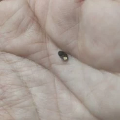 Vendora ΠΩΛΕΙΤΕ ΑΠΟ ΣΥΛΛΕΚΤΗ ΠΟΛΥΤΙΜΩΝ ΟΡΥΚΤΩΝ ΛΙΘΩΝ ΔΙΑΜΑΝΤΙ ΜΠΡΙΓΙΑΝ, ΟΡΥΚΤΟ, ΧΡΩΜΑ CHAMPAGNE, 0,51 CT ΚΑΘΑΡΟΤΗΤΑΣ Ι3 ΜΕ ΤΟ ΠΙΣΤΟΠΟΙΗΤΙΚΟ ΤΟΥ. -vendora shop 4be1db6bd3eaf4cd9a54db814d7af1a420d9506c xl