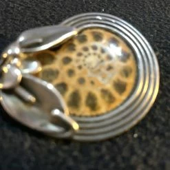 Vendora Απολιθωμένο σαλιγγάρι -vendora shop 4c2c91c3c7320454d29aef01bc9763a8713a7a23 xl