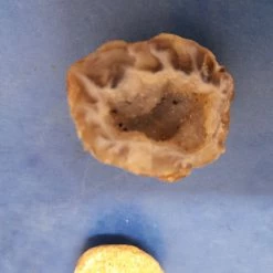 Vendora δύο πετρώματα ένα απολίθωμα -vendora shop 4d87ab418224f08218720a8d93da47ea867734a4 xl