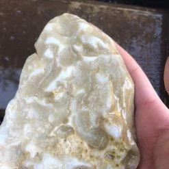 Vendora Πέτρα συλλογής -vendora shop 4e7101f14ff6b8d6ec1873739e0c7250a465ae01 xl