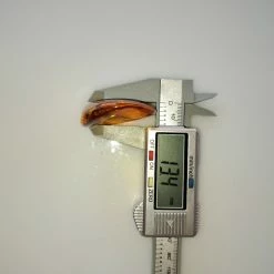 Vendora ΝΈΑ ΠΑΡΑΛΑΒΉ. ΛΙΘΟΣ ΑΠΟ ΚΕΧΡΙΜΠΆΡΙ ΒΑΛΤΙΚΗΣ, WITH INSECTS, ΚΑΤΑΛΛΗΛΟ ΓΙΑ ΜΕΝΤΑΓΙΌΝ. 10, 72 ΓΡΑΜΜΑΡΊΩΝ. -vendora shop 4ebf937de90fe400b7a7e753d473aebaf83dc3ad xl