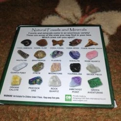 Vendora Συλλογη Γεωλογικων Πετρωματων και Απολιθωματων -vendora shop 50e998c8646c6c5e991ba5437d636beb56d8f221 xl