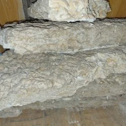 Vendora Μοναδικοί παλαιοντολογικοί λίθοι 250 εκατομμυρίων ετών με απολιθώματα κοχυλιών -vendora shop 563dfbba0c6dfd4592d77ce23d6d649b9c132330 xl