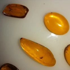 Vendora ΝΈΑ ΠΑΡΑΛΑΒΉ. ΣΤΑΓΟΝΕΣ ΑΠΟ ΚΕΧΡΙΜΠΆΡΙ ΒΑΛΤΙΚΗΣ, WITH INSECTS, ΚΑΤΑΛΛΗΛΑ ΓΙΑ ΜΕΝΤΑΓΙΌΝ Η ΑΛΛΑ ΚΌΣΜΗΜΑΤΑ 2,36ΓΡΑΜΜΑΡΊΩΝ. 11 Vendora ΝΈΑ ΠΑΡΑΛΑΒΉ. ΣΤΑΓΟΝΕΣ ΑΠΟ ΚΕΧΡΙΜΠΆΡΙ ΒΑΛΤΙΚΗΣ, WITH INSECTS, ΚΑΤΑΛΛΗΛΑ ΓΙΑ ΜΕΝΤΑΓΙΌΝ Η ΑΛΛΑ ΚΌΣΜΗΜΑΤΑ 2,36ΓΡΑΜΜΑΡΊΩΝ. -vendora shop 58bebaeee2fd8852e1d5a3c878f3b46aa466b744 xl