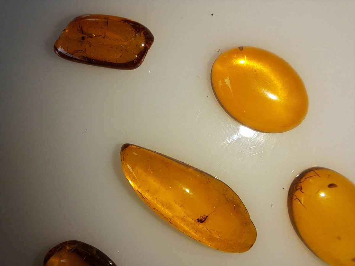 Vendora ΝΈΑ ΠΑΡΑΛΑΒΉ. ΣΤΑΓΟΝΕΣ ΑΠΟ ΚΕΧΡΙΜΠΆΡΙ ΒΑΛΤΙΚΗΣ, WITH INSECTS, ΚΑΤΑΛΛΗΛΑ ΓΙΑ ΜΕΝΤΑΓΙΌΝ Η ΑΛΛΑ ΚΌΣΜΗΜΑΤΑ 2,36ΓΡΑΜΜΑΡΊΩΝ. 5 Vendora ΝΈΑ ΠΑΡΑΛΑΒΉ. ΣΤΑΓΟΝΕΣ ΑΠΟ ΚΕΧΡΙΜΠΆΡΙ ΒΑΛΤΙΚΗΣ, WITH INSECTS, ΚΑΤΑΛΛΗΛΑ ΓΙΑ ΜΕΝΤΑΓΙΌΝ Η ΑΛΛΑ ΚΌΣΜΗΜΑΤΑ 2,36ΓΡΑΜΜΑΡΊΩΝ. - Image 3