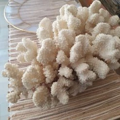 Vendora Μεγαλο φυσικο κοραλλι 5.1kg -vendora shop 5b709b6278632e86e3c6608dfb14ceb2fcf7480f xl