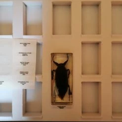 Vendora Συλλογή ΑΛΗΘΙΝΑ ΖΩΥΦΙΑ Τεύχη 1-14 -vendora shop 5c9f4bc33fa9323acef1f9b5c115b13683ad29a7 xl