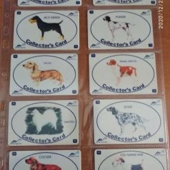 Vendora ΧΡΟΝΟΚΑΡΤΕΣ