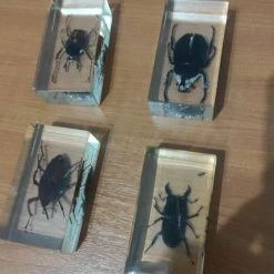 Vendora Εντωμα Συλλογη 9 Vendora Εντωμα Συλλογη -vendora shop 5fecf11ac709cbad3d84a53134238c9893a6c732 xl