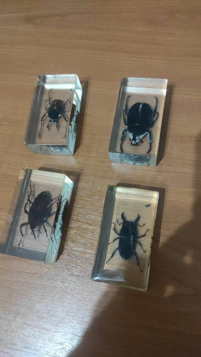 Vendora Εντωμα Συλλογη 6 Vendora Εντωμα Συλλογη - Image 4