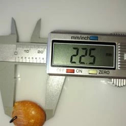 Vendora ΝΕΑ ΠΑΡΑΛΑΒΉ. ΚΕΧΡΙΜΠΆΡΙ ΚΑΤΑΛΛΗΛΟ ΓΙΑ ΜΕΝΤΑΓΙΌΝ. 4,17 ΓΡΑΜΜΑΡΊΩΝ. -vendora shop 609cc04eacb1c731d461edd4b6c1a6c781f2c3af xl