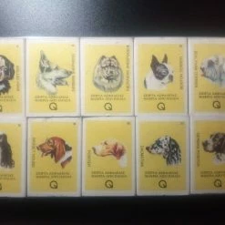 Vendora ΣΕΙΡΑ ΣΠΙΡΤΟΚΟΥΤΩΝ ΜΕ ΘΕΜΑ ΣΚΥΛΑΚΙΑ