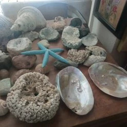 Vendora ΚΟΧΥΛΙΑ ΟΣΤΡΑΚΑ. ΠΕΤΡΩΜΑΤΑ η τιμή είναι για ολα 19 Vendora ΚΟΧΥΛΙΑ ΟΣΤΡΑΚΑ. ΠΕΤΡΩΜΑΤΑ η τιμή είναι για ολα -vendora shop 64b46b9cd9d3b8e953be46f229ebfc2d2dbb912d xl