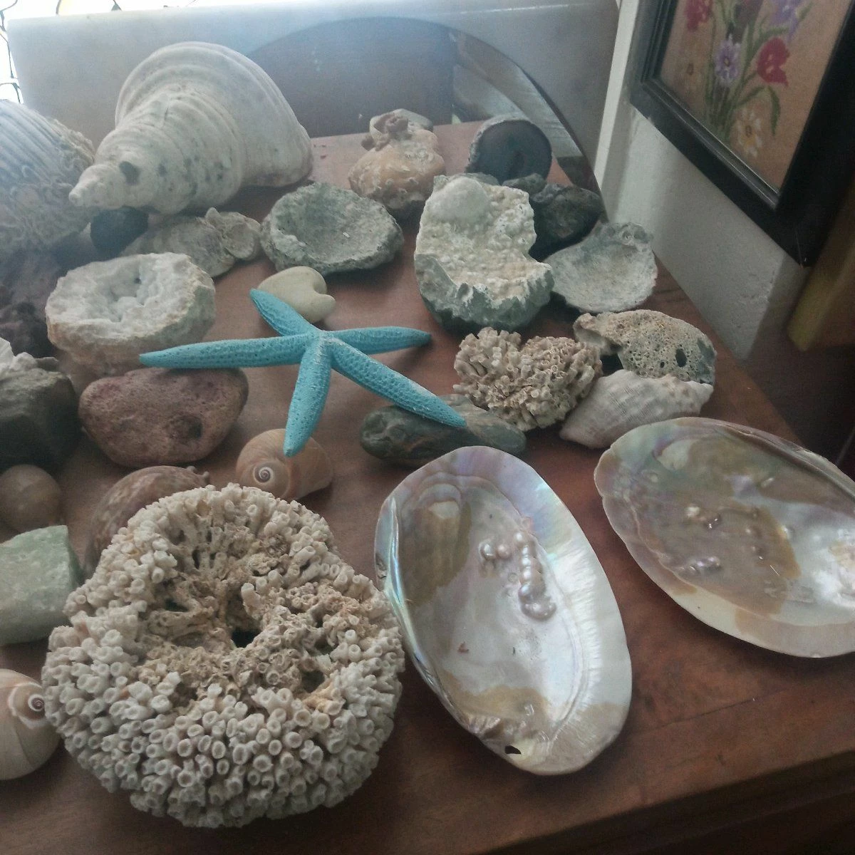 Vendora ΚΟΧΥΛΙΑ ΟΣΤΡΑΚΑ. ΠΕΤΡΩΜΑΤΑ η τιμή είναι για ολα 9 Vendora ΚΟΧΥΛΙΑ ΟΣΤΡΑΚΑ. ΠΕΤΡΩΜΑΤΑ η τιμή είναι για ολα - Image 7