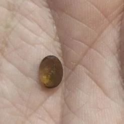 Vendora πωλείται από συλλέκτη ορυκτών πολύτιμων λίθων μοναδική ορυκτή πράσινη τουρμαλίνη 1,08ct με το πιστοποιητικό της 12 Vendora πωλείται από συλλέκτη ορυκτών πολύτιμων λίθων μοναδική ορυκτή πράσινη τουρμαλίνη 1,08ct με το πιστοποιητικό της -vendora shop 64e1b529034e2a96a5077035400bdbd0f473f706 xl