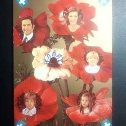 Vendora ΒΑΣΙΛΙΚΗ ΟΙΚΟΓΕΝΕΙΑ ΣΕ ΚΑΡΤΑ