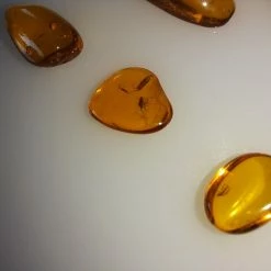 Vendora ΝΈΑ ΠΑΡΑΛΑΒΉ. ΣΤΑΓΟΝΕΣ ΑΠΟ ΚΕΧΡΙΜΠΆΡΙ ΒΑΛΤΙΚΗΣ, WITH INSECTS, ΚΑΤΑΛΛΗΛΑ ΓΙΑ ΜΕΝΤΑΓΙΌΝ Η ΑΛΛΑ ΚΌΣΜΗΜΑΤΑ 2,36ΓΡΑΜΜΑΡΊΩΝ. 13 Vendora ΝΈΑ ΠΑΡΑΛΑΒΉ. ΣΤΑΓΟΝΕΣ ΑΠΟ ΚΕΧΡΙΜΠΆΡΙ ΒΑΛΤΙΚΗΣ, WITH INSECTS, ΚΑΤΑΛΛΗΛΑ ΓΙΑ ΜΕΝΤΑΓΙΌΝ Η ΑΛΛΑ ΚΌΣΜΗΜΑΤΑ 2,36ΓΡΑΜΜΑΡΊΩΝ. -vendora shop 65a2156d09d2ce6c5558d6526985444cb0565b01 xl