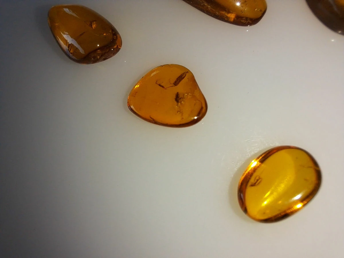 Vendora ΝΈΑ ΠΑΡΑΛΑΒΉ. ΣΤΑΓΟΝΕΣ ΑΠΟ ΚΕΧΡΙΜΠΆΡΙ ΒΑΛΤΙΚΗΣ, WITH INSECTS, ΚΑΤΑΛΛΗΛΑ ΓΙΑ ΜΕΝΤΑΓΙΌΝ Η ΑΛΛΑ ΚΌΣΜΗΜΑΤΑ 2,36ΓΡΑΜΜΑΡΊΩΝ. 7 Vendora ΝΈΑ ΠΑΡΑΛΑΒΉ. ΣΤΑΓΟΝΕΣ ΑΠΟ ΚΕΧΡΙΜΠΆΡΙ ΒΑΛΤΙΚΗΣ, WITH INSECTS, ΚΑΤΑΛΛΗΛΑ ΓΙΑ ΜΕΝΤΑΓΙΌΝ Η ΑΛΛΑ ΚΌΣΜΗΜΑΤΑ 2,36ΓΡΑΜΜΑΡΊΩΝ. - Image 5