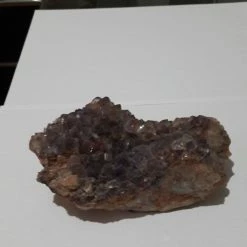 Vendora αμεθυστος