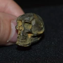 Vendora WW1 ΔΑΧΤΥΛΙΔΙ ΝΕΚΡΟΚΕΦΑΛΗ 1914-1918 -vendora shop 67a82937baf0408e51072de7b182414c5fe212a0 xl