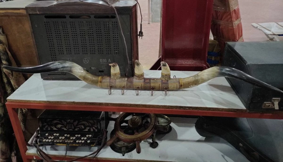 Vendora Κρεμάστρα από κέρατα 4 Vendora Κρεμάστρα από κέρατα - Image 2