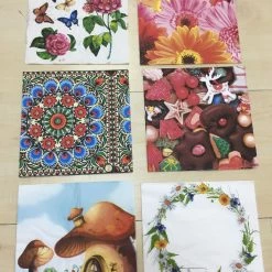 Vendora Χαρτοπετσέτες συλλογή (100+) -vendora shop 6b56d469c02a47aa44544dbd52276fb1d4fe0d66 xl