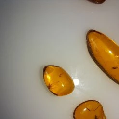 Vendora ΝΈΑ ΠΑΡΑΛΑΒΉ. ΣΤΑΓΟΝΕΣ ΑΠΟ ΚΕΧΡΙΜΠΆΡΙ ΒΑΛΤΙΚΗΣ, WITH INSECTS, ΚΑΤΑΛΛΗΛΑ ΓΙΑ ΜΕΝΤΑΓΙΌΝ Η ΑΛΛΑ ΚΌΣΜΗΜΑΤΑ 2,36ΓΡΑΜΜΑΡΊΩΝ. 14 Vendora ΝΈΑ ΠΑΡΑΛΑΒΉ. ΣΤΑΓΟΝΕΣ ΑΠΟ ΚΕΧΡΙΜΠΆΡΙ ΒΑΛΤΙΚΗΣ, WITH INSECTS, ΚΑΤΑΛΛΗΛΑ ΓΙΑ ΜΕΝΤΑΓΙΌΝ Η ΑΛΛΑ ΚΌΣΜΗΜΑΤΑ 2,36ΓΡΑΜΜΑΡΊΩΝ. -vendora shop 6bc02135d8f3b55b5af8e305ab461eb5a355bcd0 xl