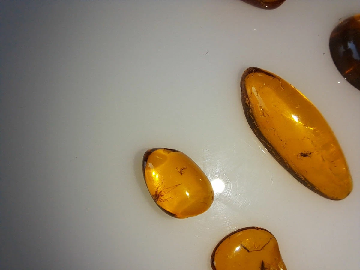 Vendora ΝΈΑ ΠΑΡΑΛΑΒΉ. ΣΤΑΓΟΝΕΣ ΑΠΟ ΚΕΧΡΙΜΠΆΡΙ ΒΑΛΤΙΚΗΣ, WITH INSECTS, ΚΑΤΑΛΛΗΛΑ ΓΙΑ ΜΕΝΤΑΓΙΌΝ Η ΑΛΛΑ ΚΌΣΜΗΜΑΤΑ 2,36ΓΡΑΜΜΑΡΊΩΝ. 8 Vendora ΝΈΑ ΠΑΡΑΛΑΒΉ. ΣΤΑΓΟΝΕΣ ΑΠΟ ΚΕΧΡΙΜΠΆΡΙ ΒΑΛΤΙΚΗΣ, WITH INSECTS, ΚΑΤΑΛΛΗΛΑ ΓΙΑ ΜΕΝΤΑΓΙΌΝ Η ΑΛΛΑ ΚΌΣΜΗΜΑΤΑ 2,36ΓΡΑΜΜΑΡΊΩΝ. - Image 6