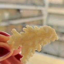 Vendora 3 Πετρώματα Λίθοι -vendora shop 6c907b9503eb3e86264c0d5629fade6c0086e994 xl