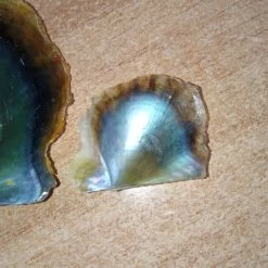 Vendora Φανταχτερά στρείδια -vendora shop 6ecb819eaea037f6b82b0a65104ef2312a922d91 xl