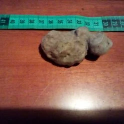 Vendora Κρύσταλλος μέσα σε πέτρωμα 21 Vendora Κρύσταλλος μέσα σε πέτρωμα -vendora shop 6fe69cdf34407e439969d3aa806682ec90d36dd3 xl