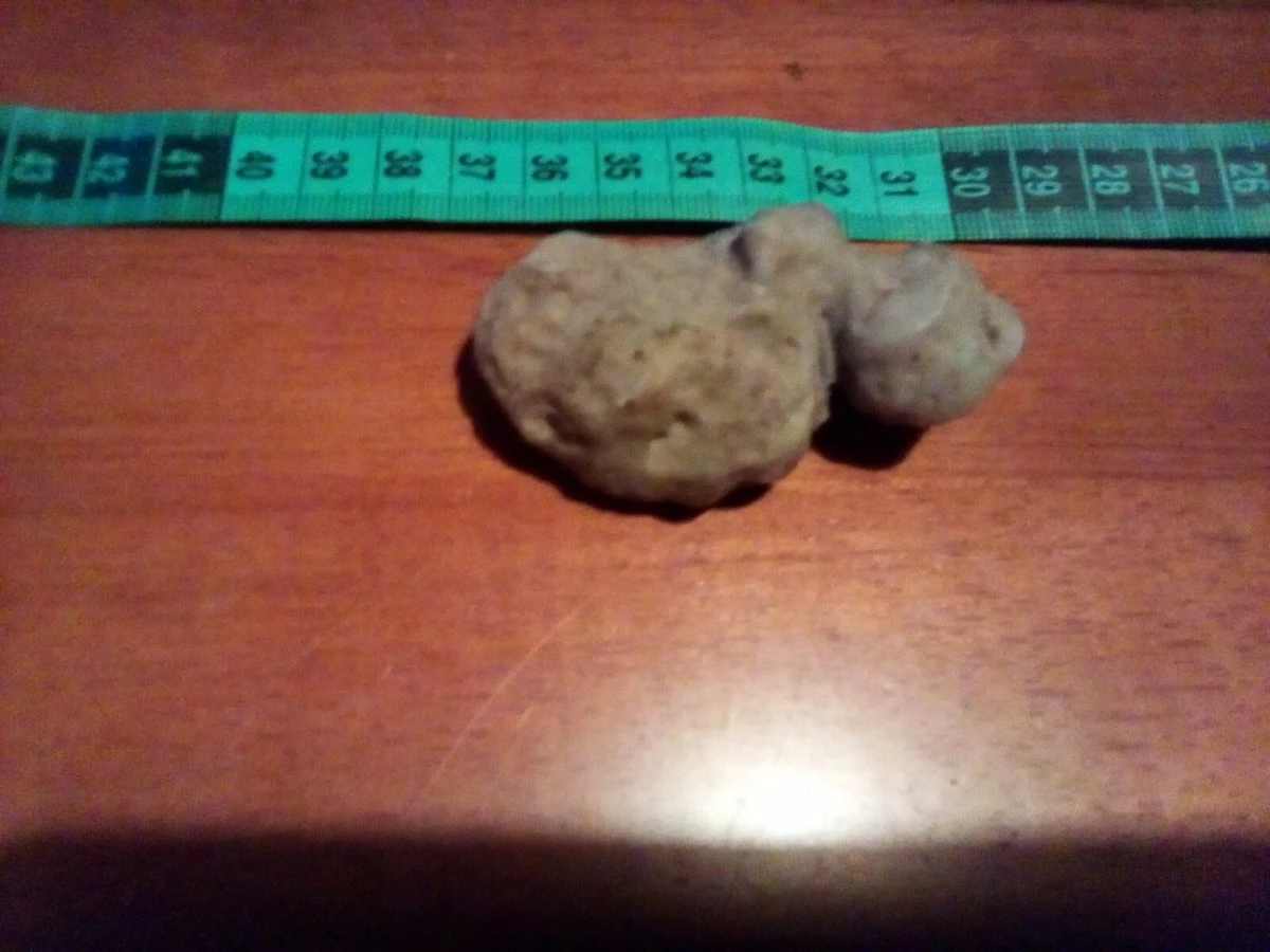 Vendora Κρύσταλλος μέσα σε πέτρωμα 12 Vendora Κρύσταλλος μέσα σε πέτρωμα - Image 10