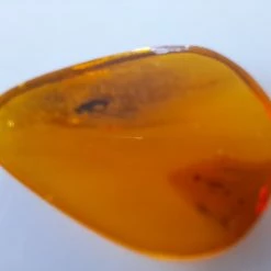 Vendora ΝΈΑ ΠΑΡΑΛΑΒΉ. ΣΤΑΓΟΝΑ ΑΠΟ ΚΕΧΡΙΜΠΆΡΙ ΒΑΛΤΙΚΗΣ, WITH INSECTS, ΚΑΤΑΛΛΗΛΟ ΓΙΑ ΜΕΝΤΑΓΙΌΝ Η ΑΛΛΟ ΚΌΣΜΗΜΑ 0,93 ΓΡΑΜΜΑΡΊΩΝ. -vendora shop 713185291d8a57a5d64c5a3c1141e6af05c6c8d4 xl