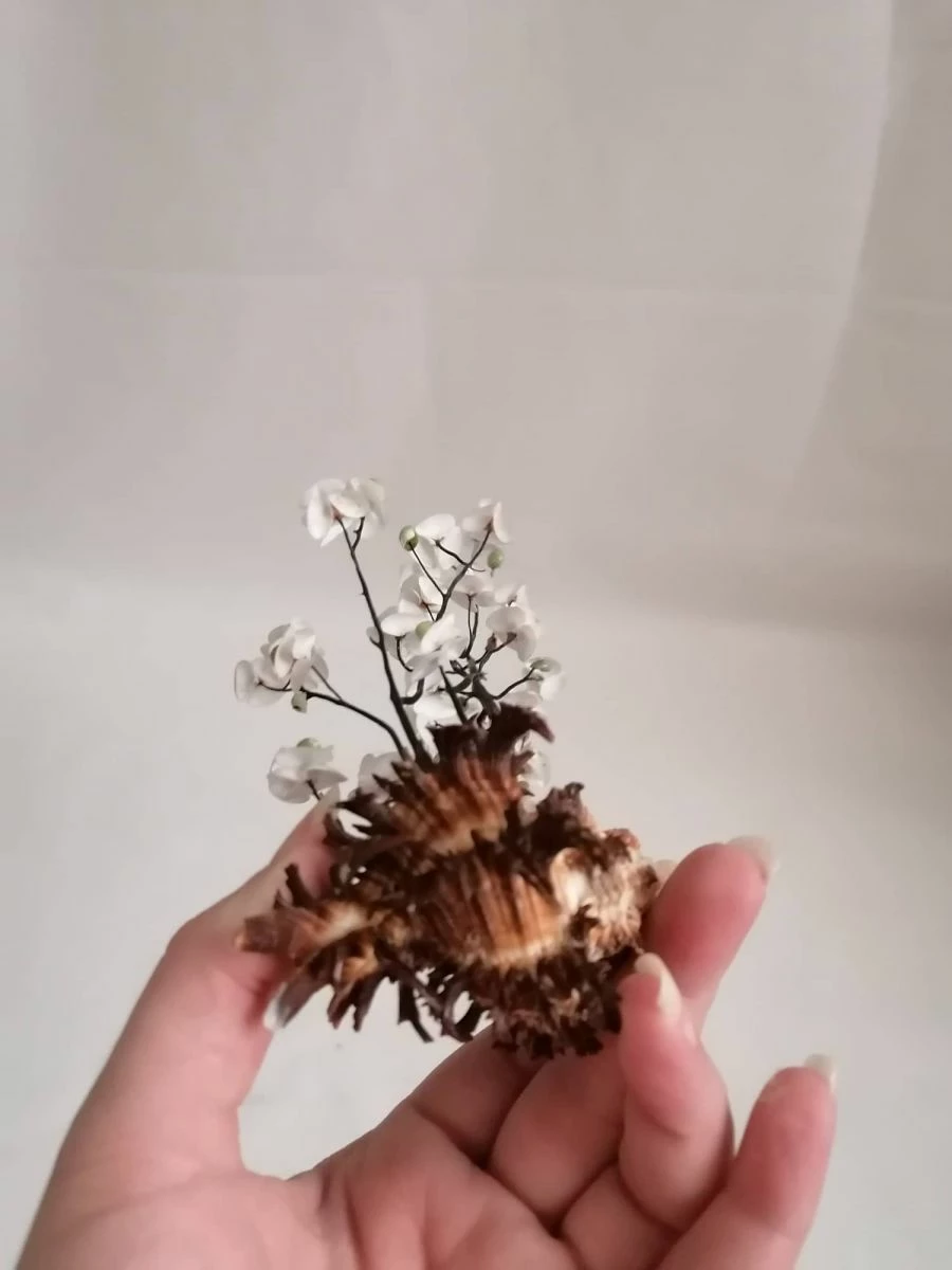 Vendora ΚΟΧΥΛΙΑ Handmade Creation Decor Of Natural Sea Shells Aprox 22cm 8 Vendora ΚΟΧΥΛΙΑ Handmade Creation Decor Of Natural Sea Shells Aprox 22cm - Image 6