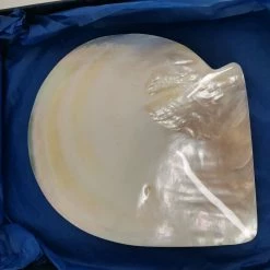 Vendora Όστρακο σε κασετίνα -vendora shop 7795e0cf7cdf16d5f3d80319b6014e34b75d3806 xl