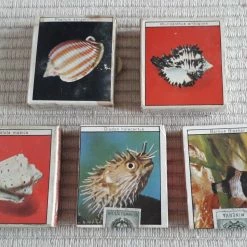 Vendora Σπιρτόκουτα από Ιταλία ( 5 ) Νο.31