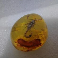 Vendora Σκορπιος Μεσα σε Απομιμηση Κεχριμπαριου -vendora shop 78c2cceac42f5ab7d4026ce0f8da88e188ef5782 xl