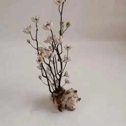 Vendora ΚΟΧΥΛΙΑ Handmade Creation Decor Of Natural Sea Shells Aprox 17cm