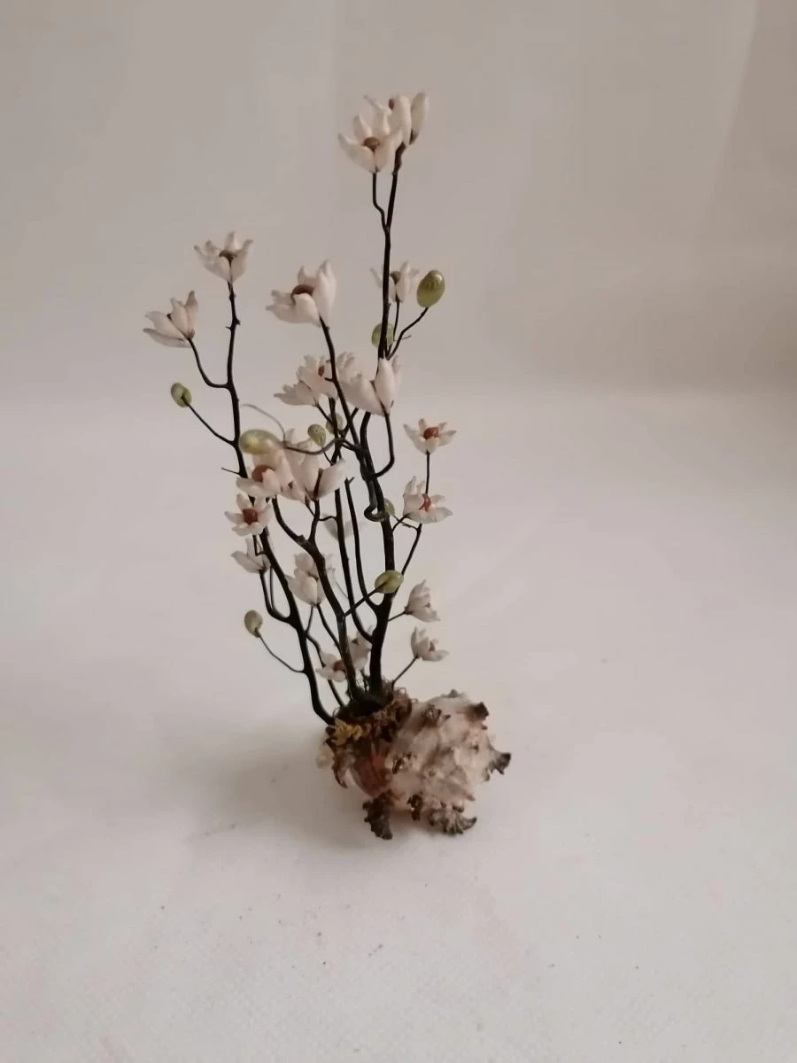 Vendora ΚΟΧΥΛΙΑ Handmade Creation Decor Of Natural Sea Shells Aprox 17cm 3 Vendora ΚΟΧΥΛΙΑ Handmade Creation Decor Of Natural Sea Shells Aprox 17cm