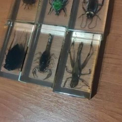 Vendora Εντωμα Συλλογη 7 Vendora Εντωμα Συλλογη -vendora shop 79a2c67c156c0ccf2cff84261144d8ce2357951c xl